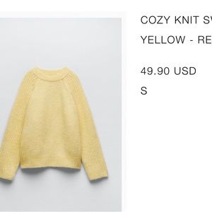 Zara Cozy Knit Sweater